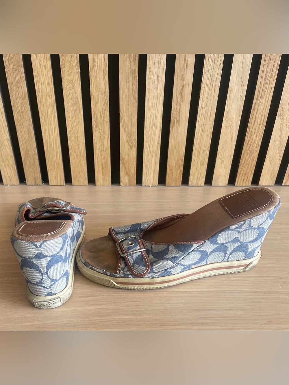 Coach Signature Canvas Slip-On Loafer in Blue and Brown